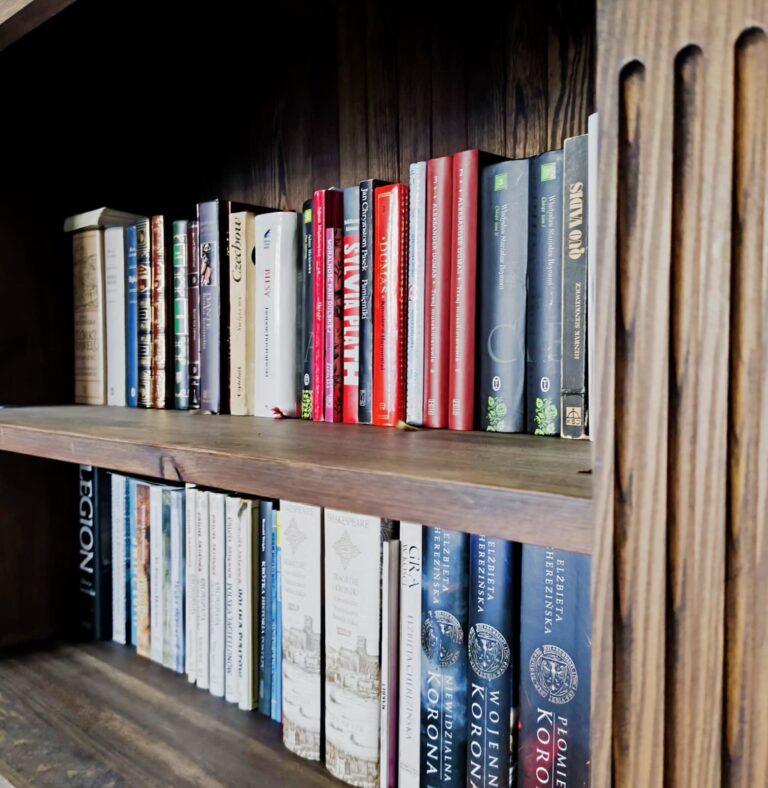 Domowa biblioteka z kolekcją klasyki literatury i powieści historycznych na drewnianym regale.
