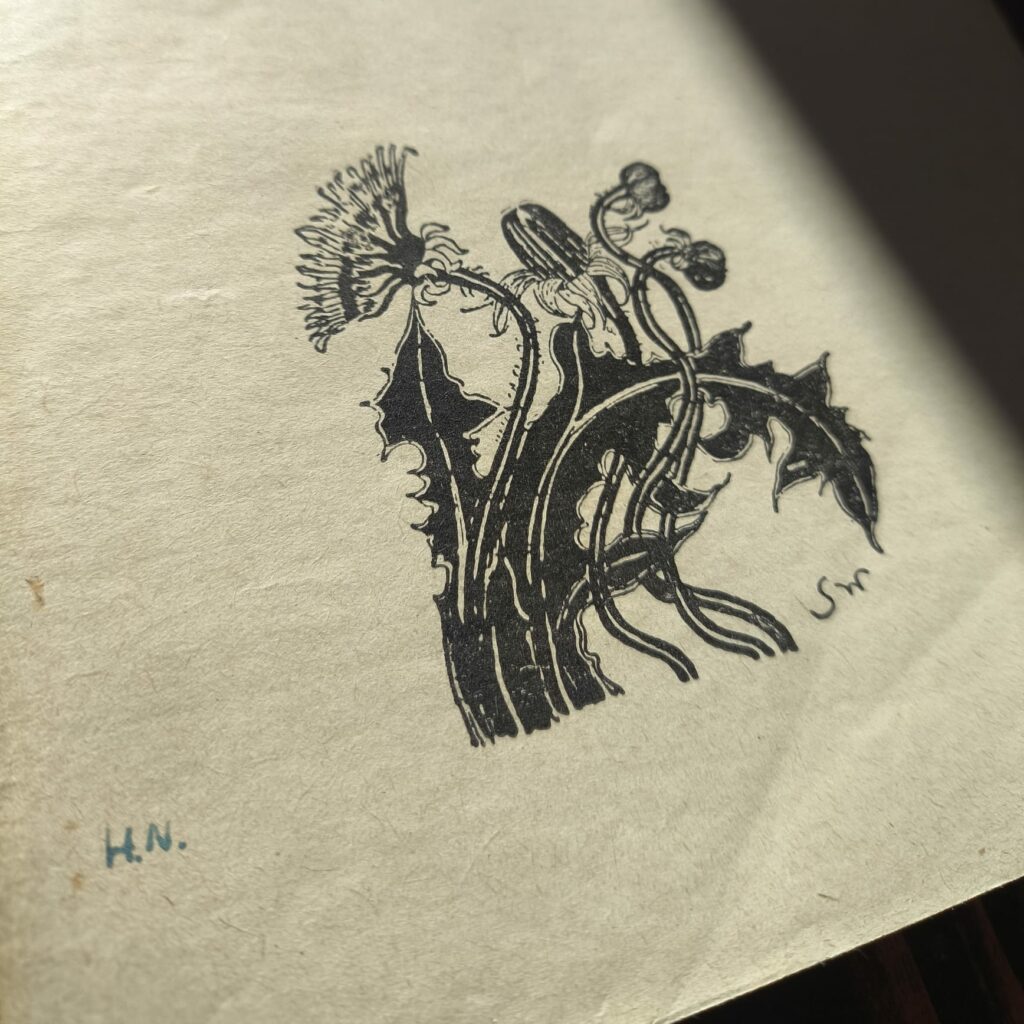 Subtelny inicjał właściciela naniesiony piórem na pierwszej stronie książki obok czarno-białej ilustracji botanicznej.